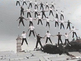 6.gif