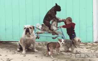 0.gif