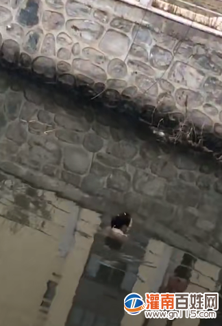 微信截图_20200307125853.png
