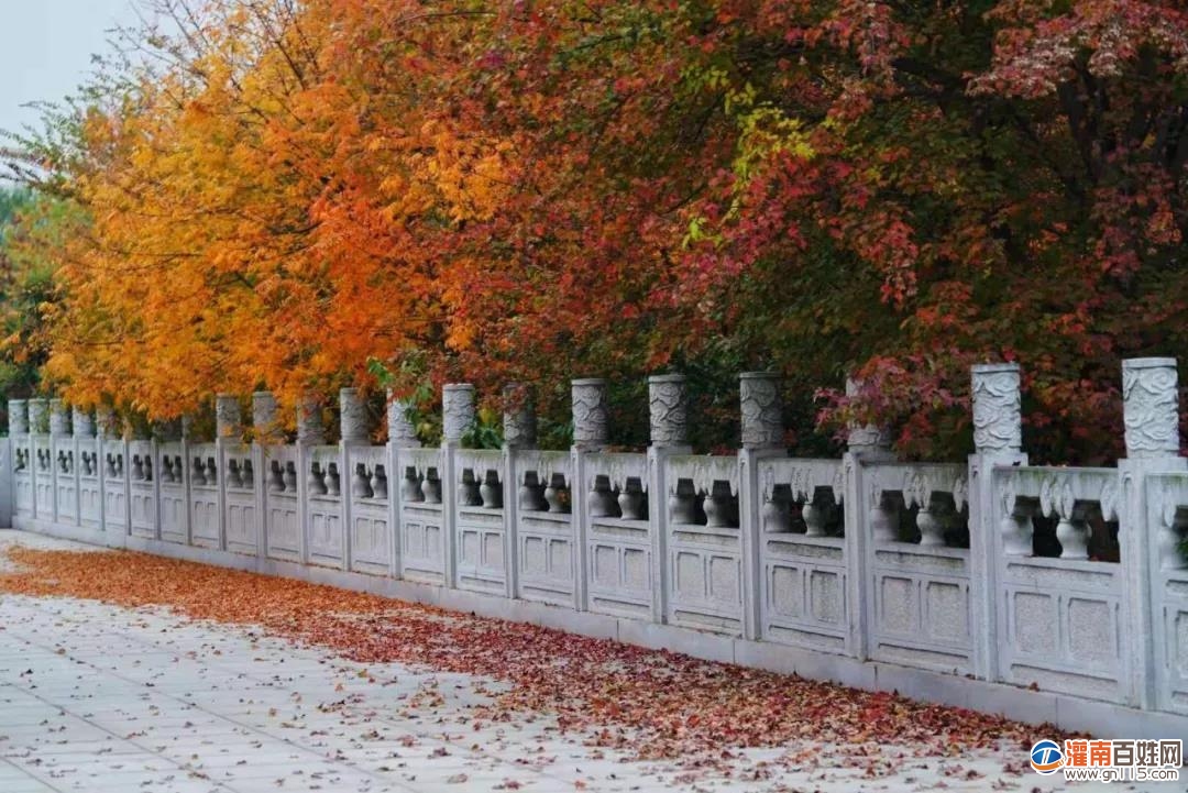微信图片_20200622172931.jpg