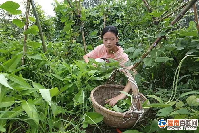 微信图片_20200827183226.jpg