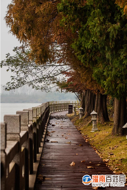 a768f64e179b605c014ba749a53be03b.png