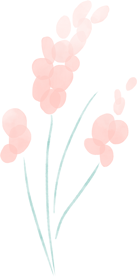 763ec1ad270c103e2ba32b4b0d472b12.png