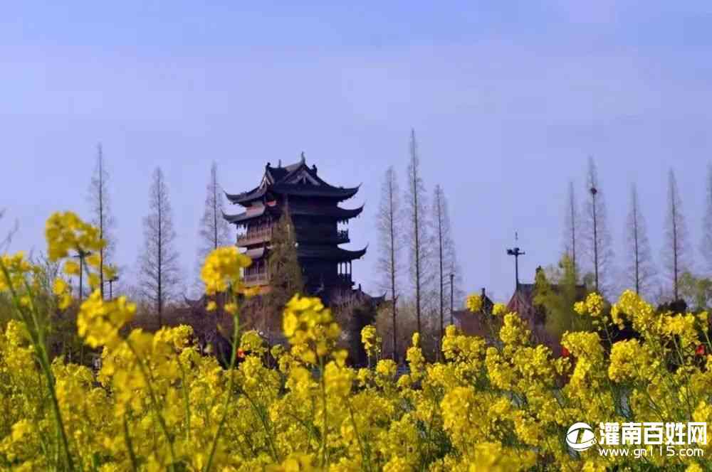 微信图片_20220404191835.jpg