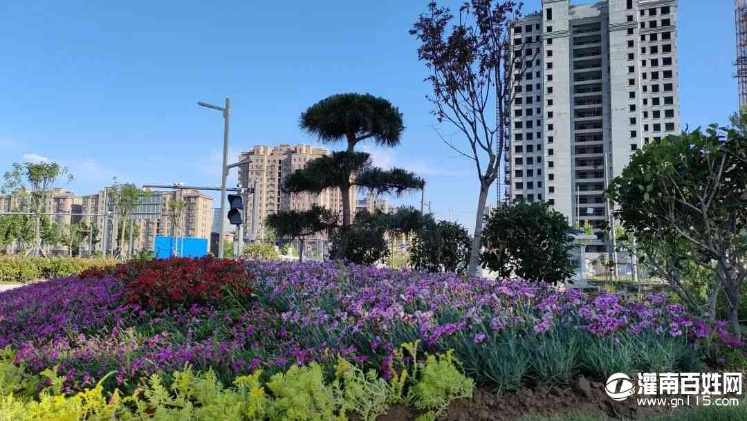 微信图片_20220601210213.jpg