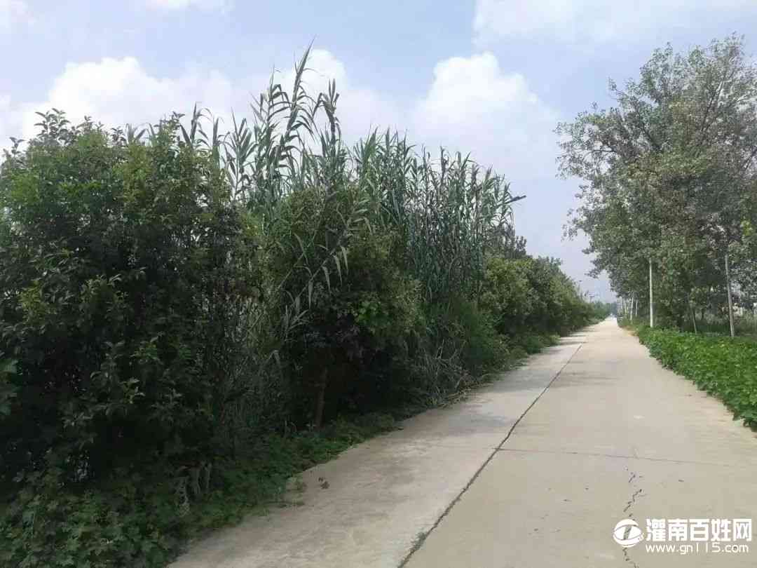 640.jpg